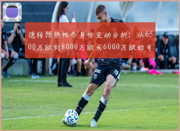 德转预热帕乔身价变动分析：从6500万欧到8000万欧或6000万欧的可能性探讨