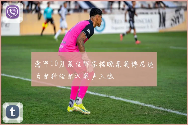 意甲10月最佳阵容揭晓莱奥博尼迪马尔科恰尔汉奥卢入选