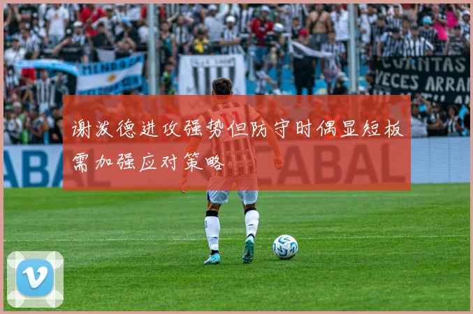 谢泼德进攻强势但防守时偶显短板需加强应对策略